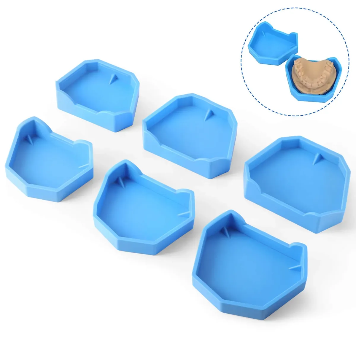 tray base TB01 6pcs