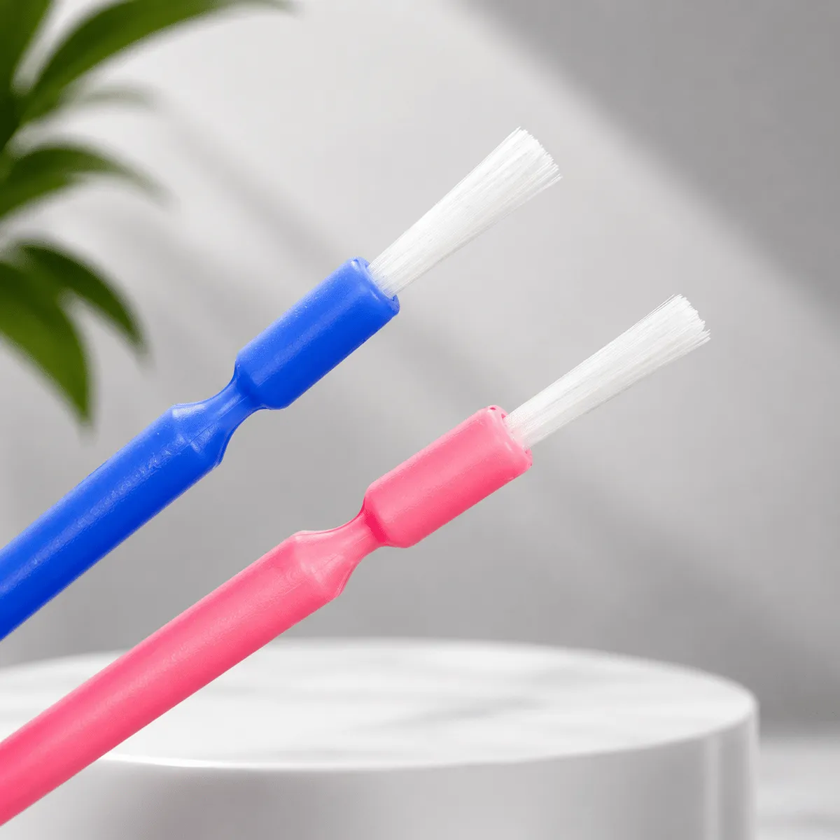gingival brushes