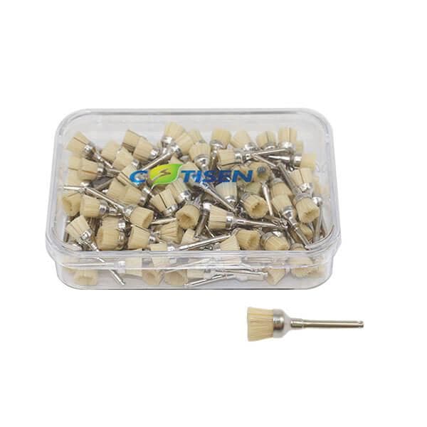 Prophy brushes