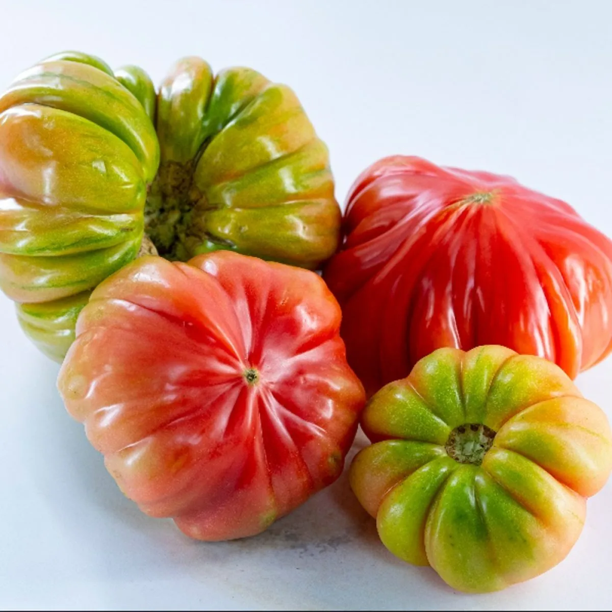 بندورة جبلية / كغ
