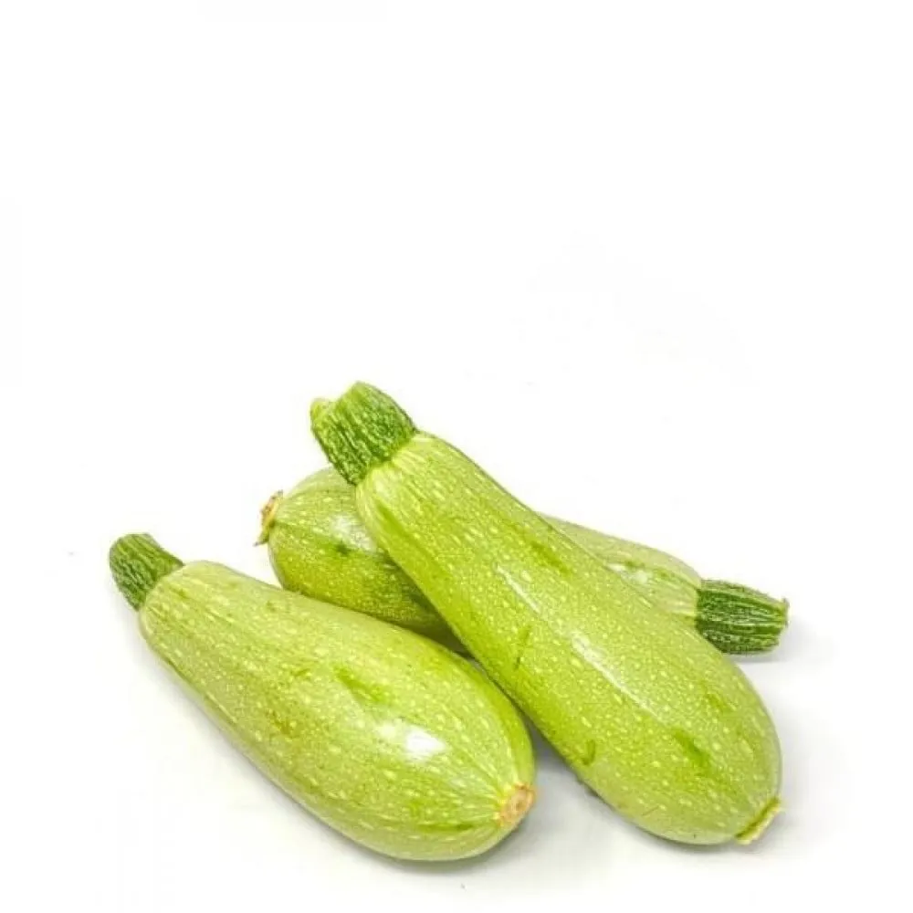 كوسا / كغ