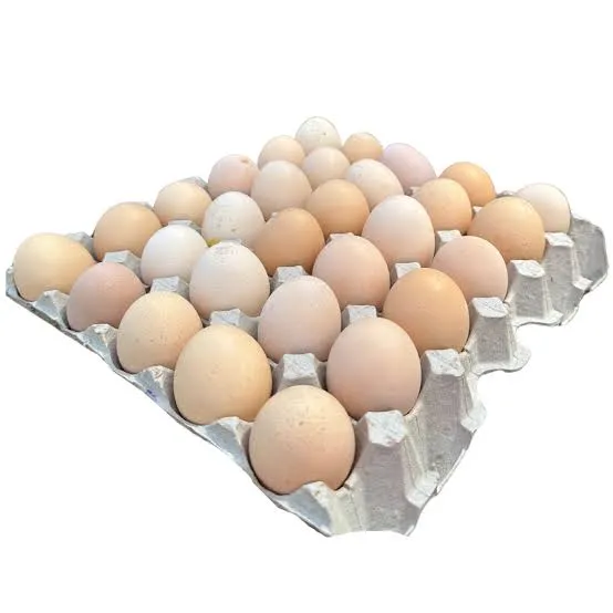 Egg Balade Box / 30 Pieces