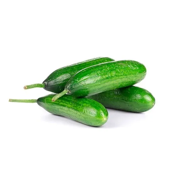 خيار اورغانيك / كغ