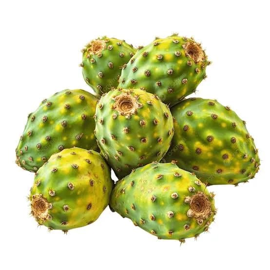 صبير / كغ