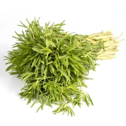 زعتر اخضر / باقة