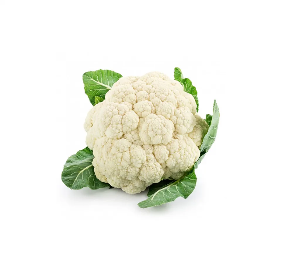 زهرة / كغ