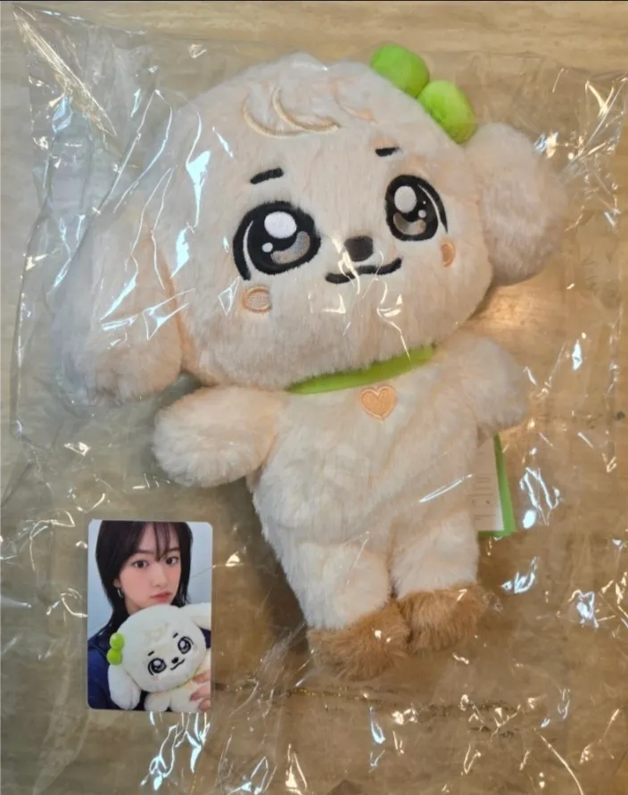 Up for pre-order! official 30cm "GANGANJI" doll from the IVE MINIVE School in Seoul Pop-Up store