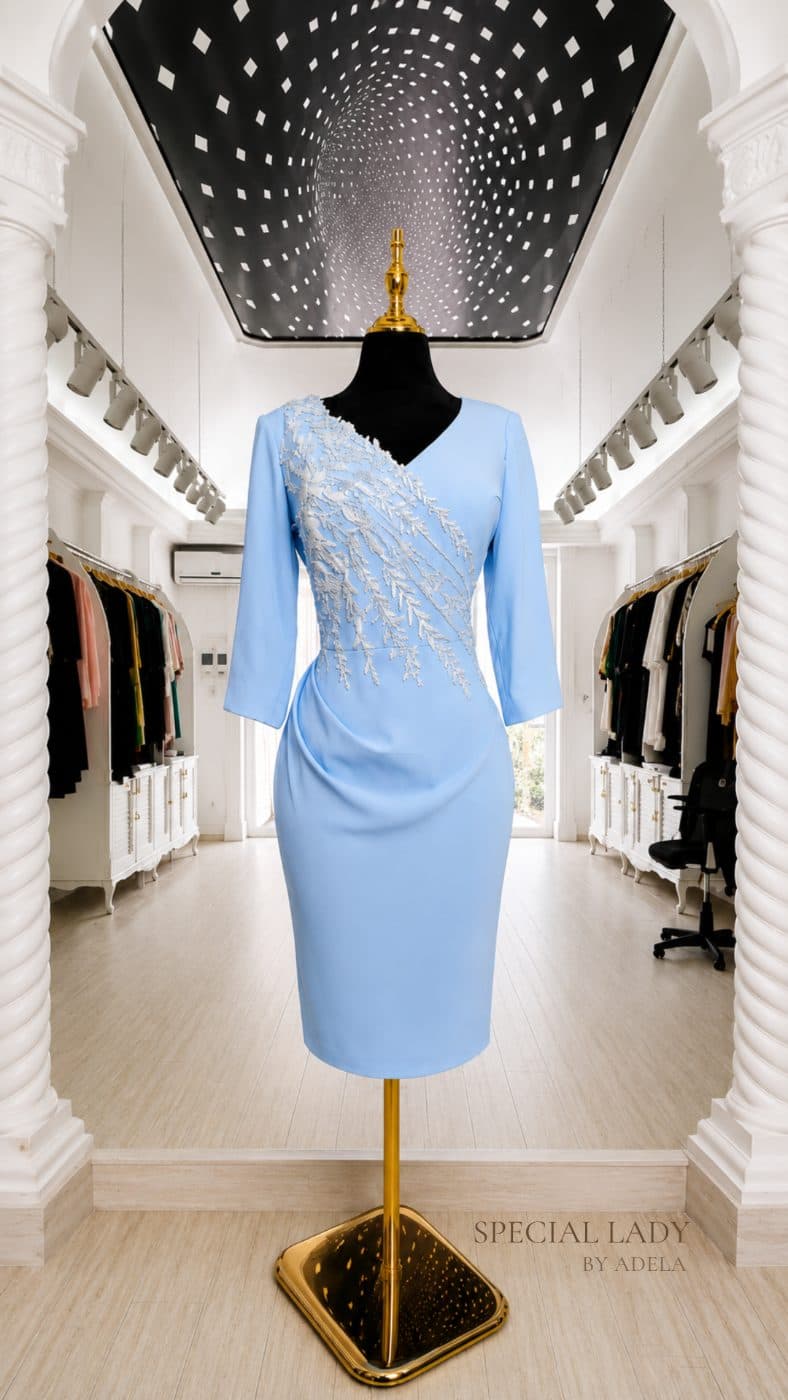 Blue Grace Appliqué Dress
