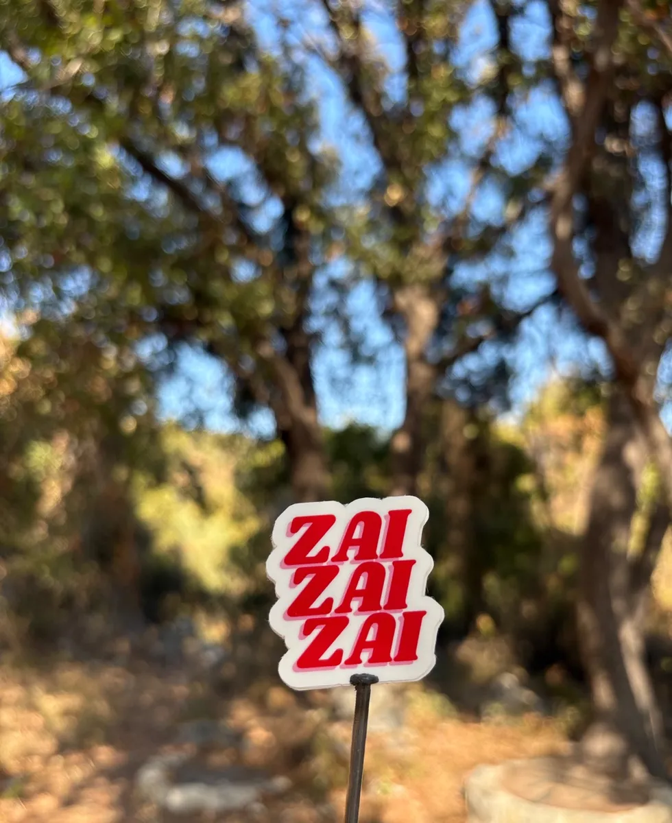 ZAI ZAI ZAI