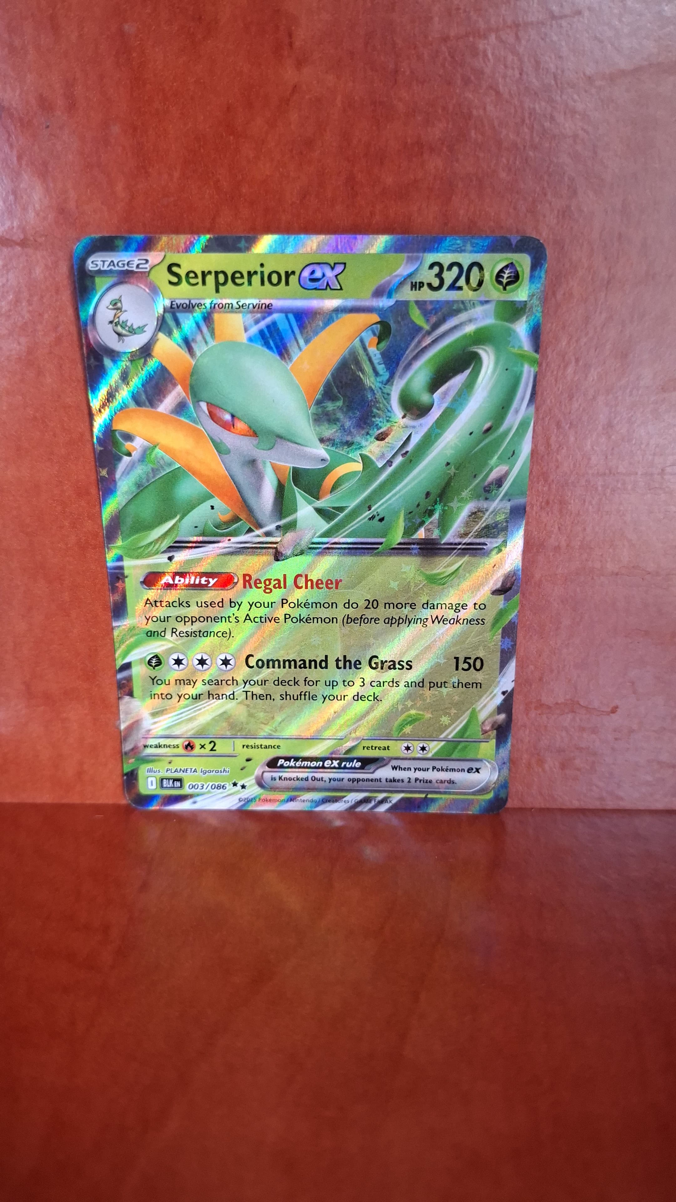 Serperior ex