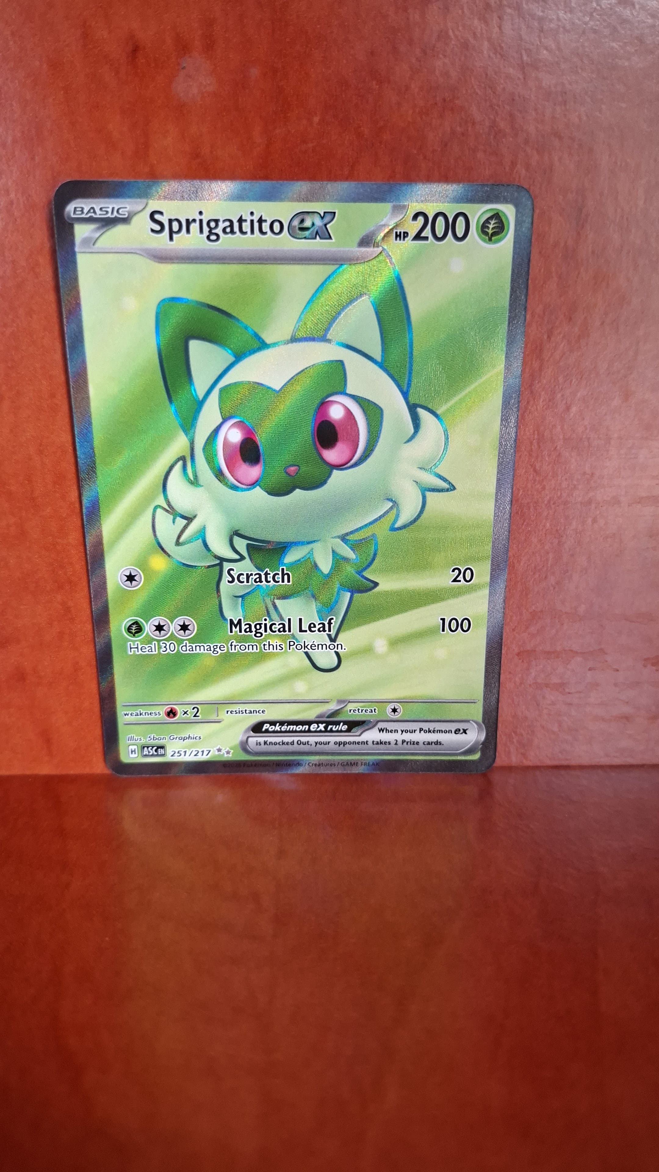 Sprigatito ex