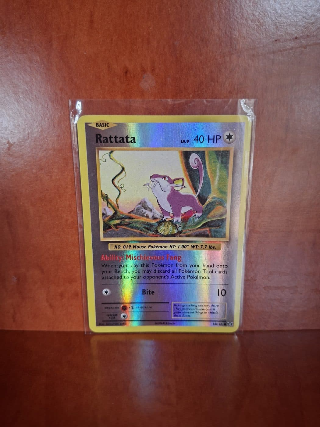Rattata